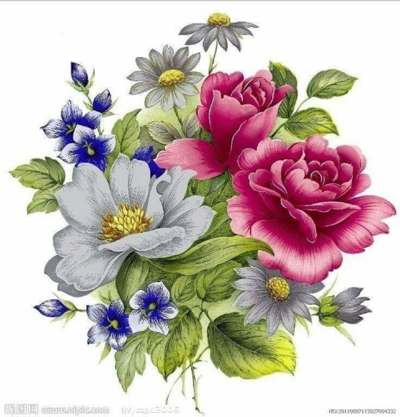 Рисунки цветов