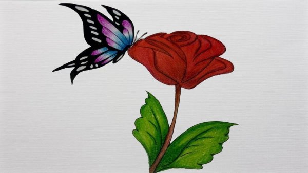 Рисунки цветов и бабочек