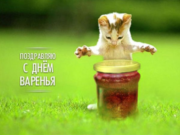 С днём рождения винипух