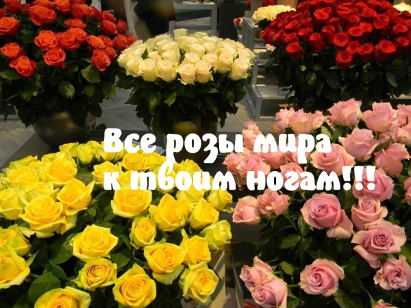 Букеты роз со словами