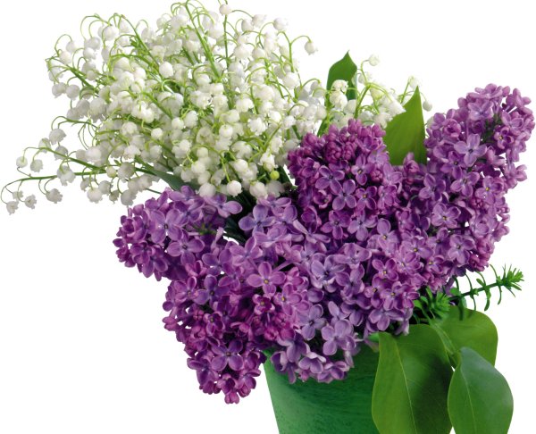 Сирень и Ландыши букет