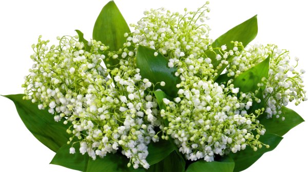 Весенний букет с ландышами