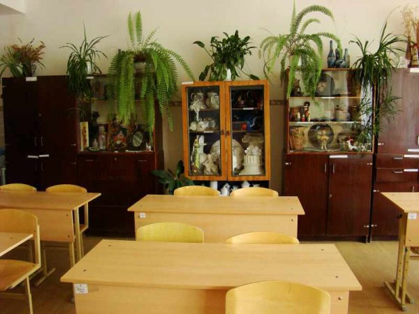 Комнатные цветы в классе школы
