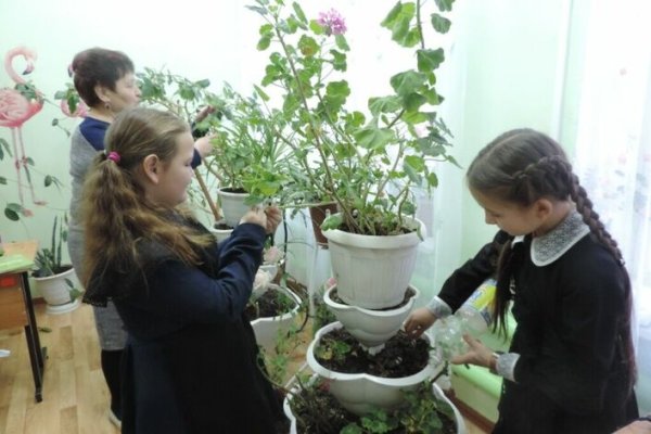 Школьники с комнатными растениями
