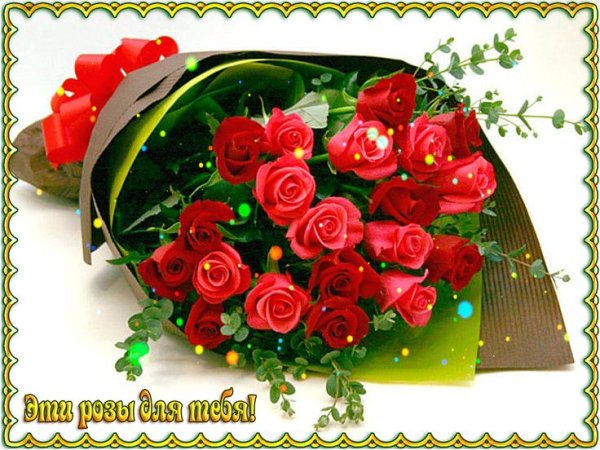Розы для тебя