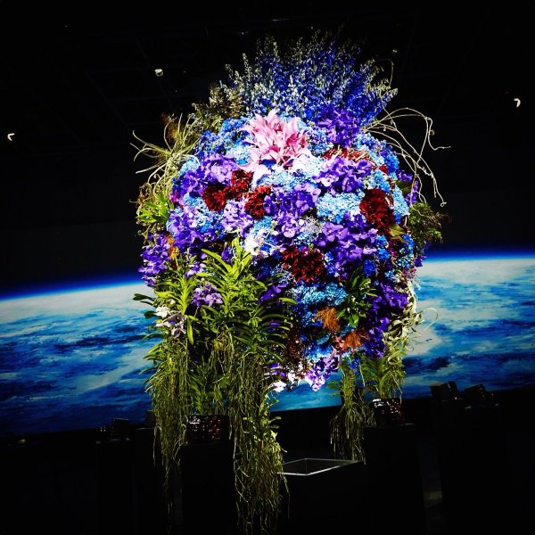 Фантастические розы