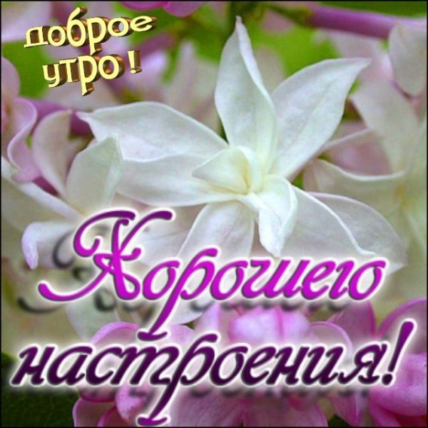 Маме хорошего дня и настроения