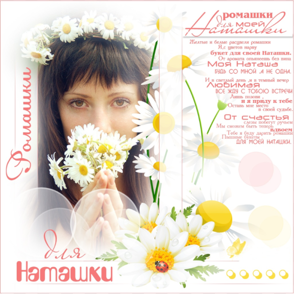 Открытки ромашечки для Наташечки