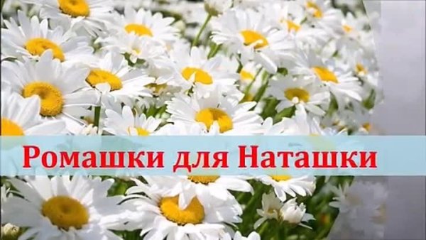 Открытки ромашки для Наташки