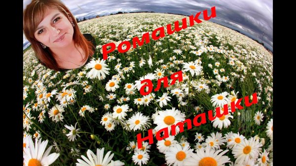Ромашки для милашки