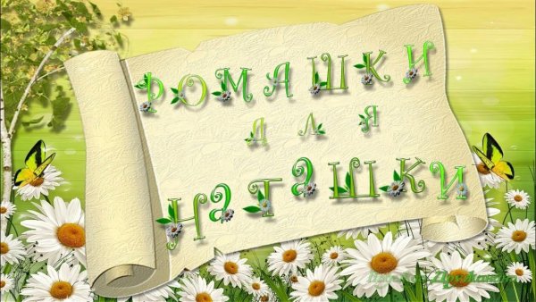 Ромашки для Маши