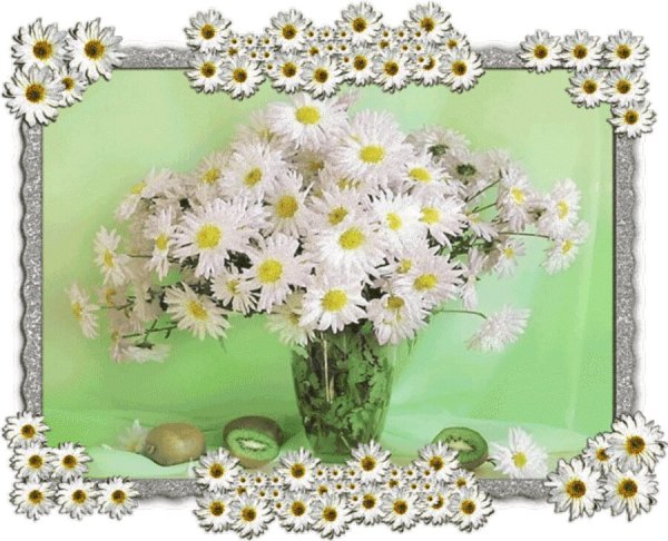 Ромашки для Наташки