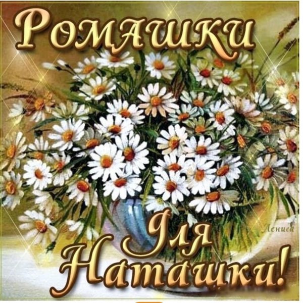 Одноголовые ромашки букет