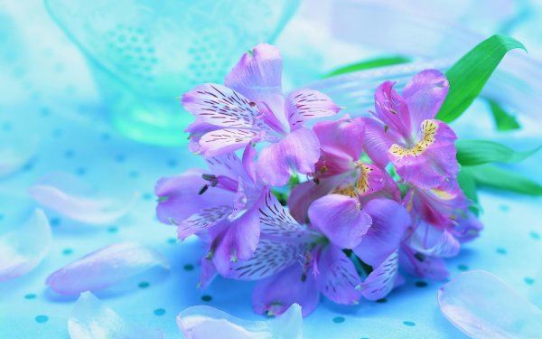 Фантастические цветы