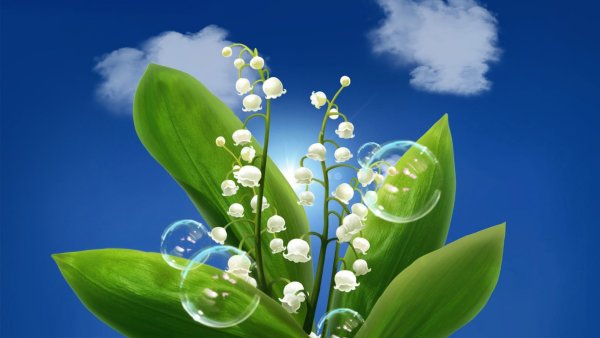 Чехол на ZTE Blade v10 Vita