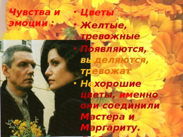 Маргарита желтая
