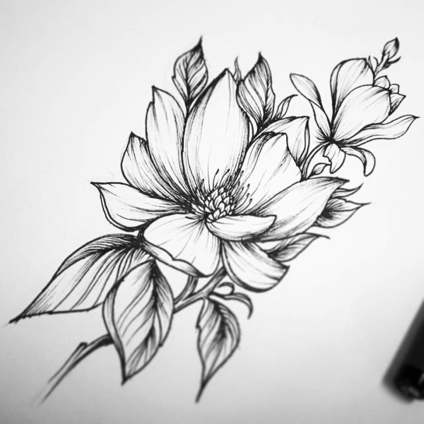 Рисунки цветов