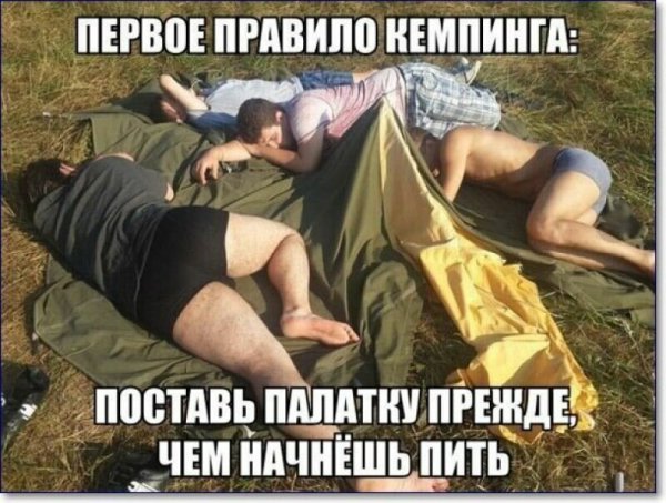 Смешные фразы про цветы