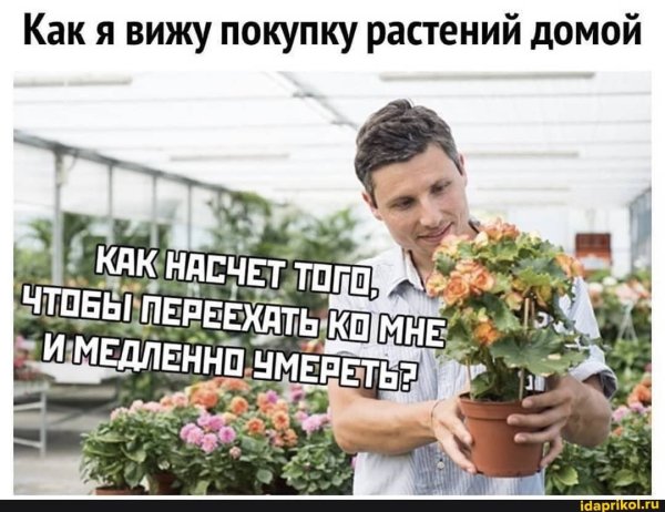 Цветочный юмор