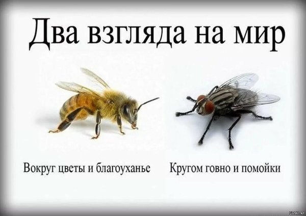 Причиняю добро наношу радость