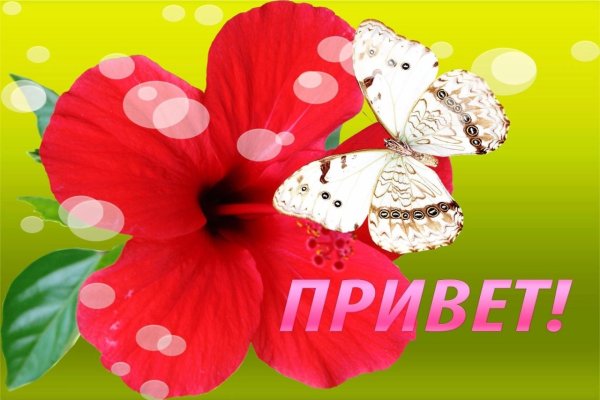Открытки с надписью привет