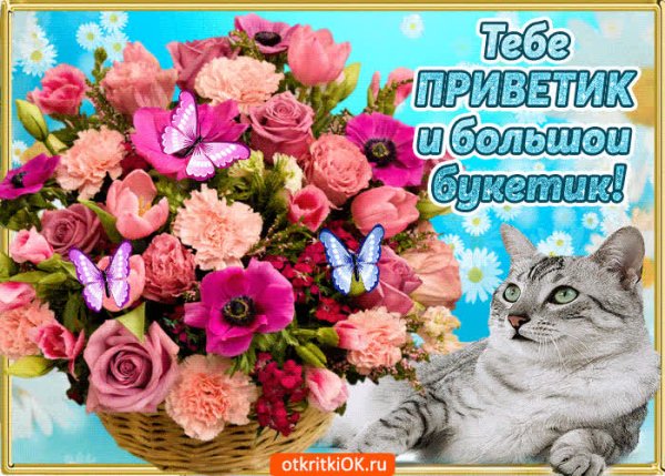 Открытки приветик тебе букетик