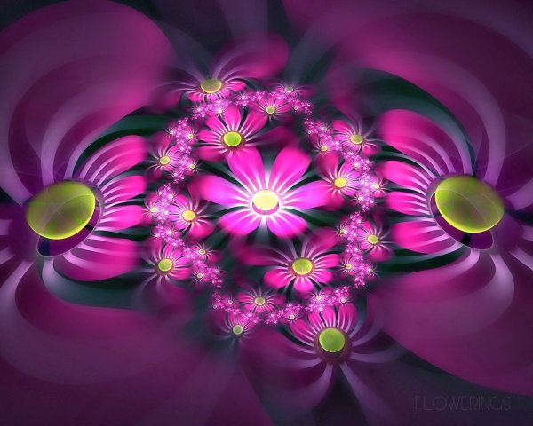 Цветы. 3 D
