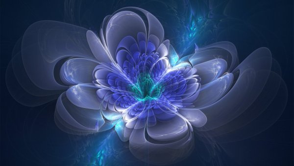Фиолетовые цветы фон