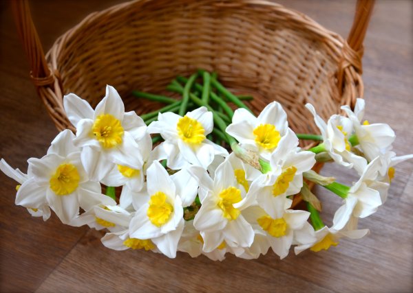 Корзинка с нарциссами