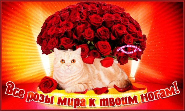 Все цветы к твоим ногам