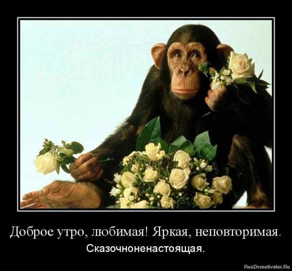 Обезьянка с цветами