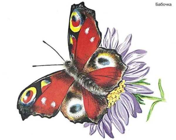 Насекомые иллюстрации для детей