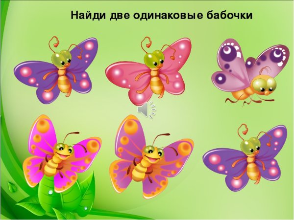 Найди двух одинаковых бабочек