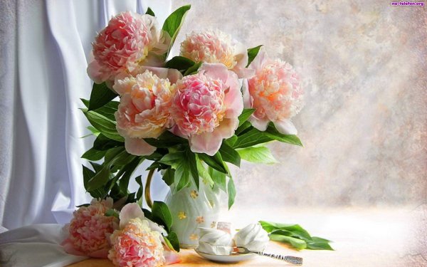 Нежное поздравление с днем рождения