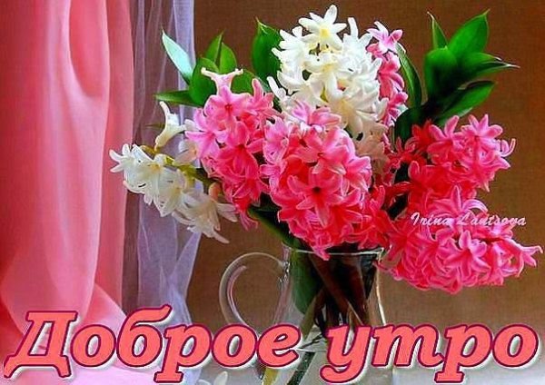 Букет гладиолусов с добрым утром