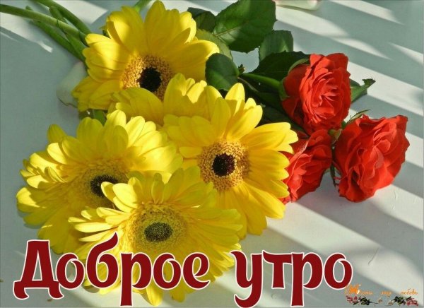 Здравствуй утро доброе