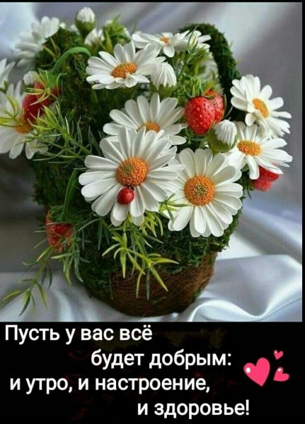 С добрым утром девушке