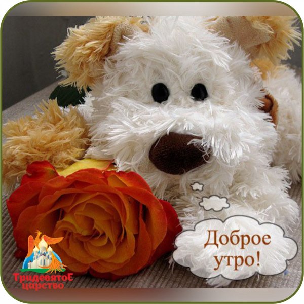 Открытки с добрым утром красивые