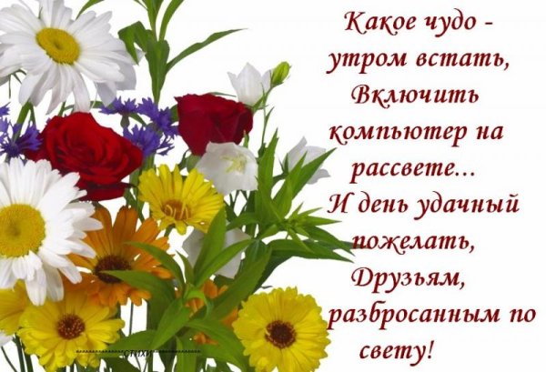 Прекрасного воскресного дня и замечательного настроения