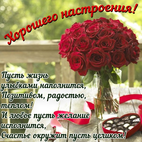 Чудесного солнечного утра и прекрасного дня