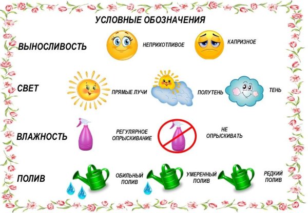 Паспорт комнатных растений с условными обозначениями