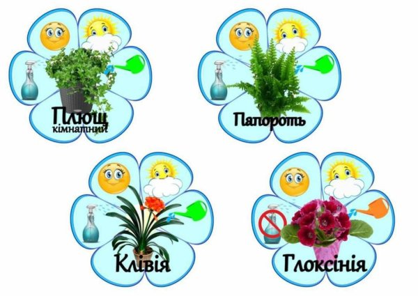 Этикетки для комнатных цветов в детский сад