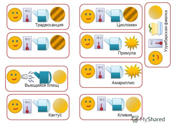 Обозначение для цветов в детском саду