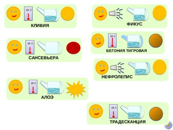 Таблички для цветов в саду