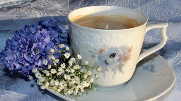 Подснежники и чай