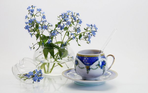 Красивые кружки с незабудками