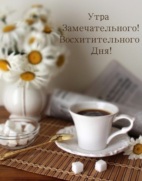 Ромашки в чашке
