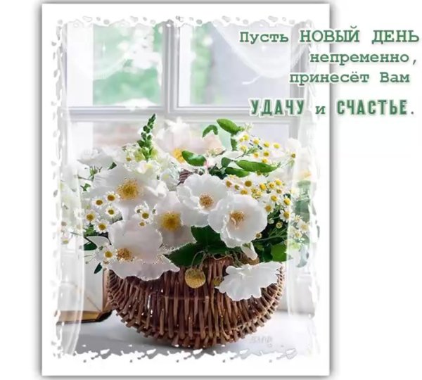 Теплые пожелания с добрым утром