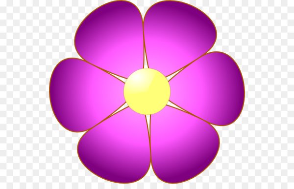 Гербера Дейзи