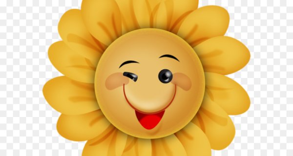 Ромашка с улыбкой